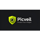 PICVEIL LTD logo