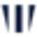 WITHPASSION logo
