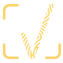VLens logo