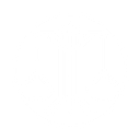 Fortuna-Insights, . logo