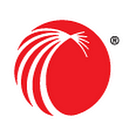 LexisNexis IP logo