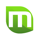 LawMint logo