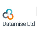 Datamise Solutions logo