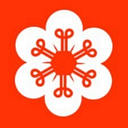 IDiyas logo
