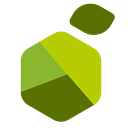 LemonTech logo