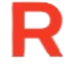 RuleX logo